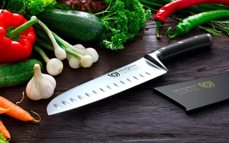 Santoku VS Chef Knife Review