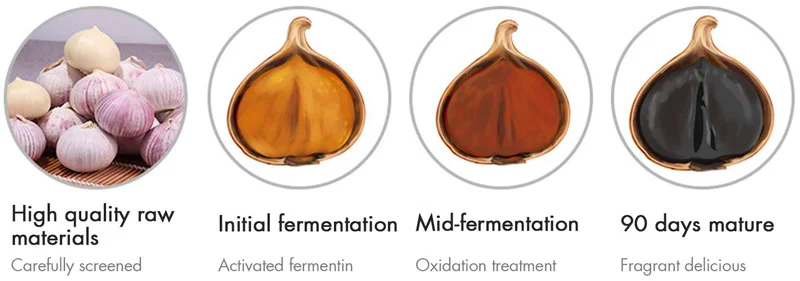 Black Garlic Fermentation Stages
