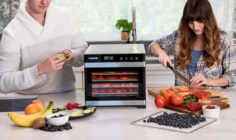 Best Food Dehydrators – Buyer’s Guide