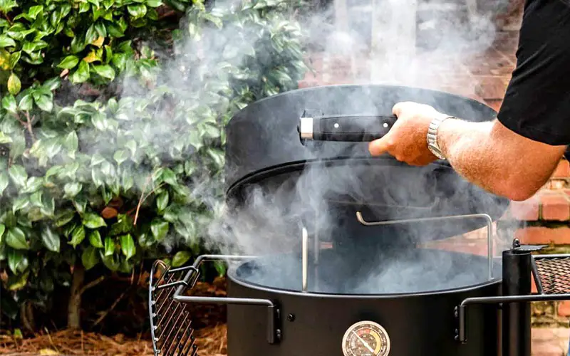 Miglior Legno per Affumicare il Tacchino - Legni per Cucinare un Tacchino Delizioso